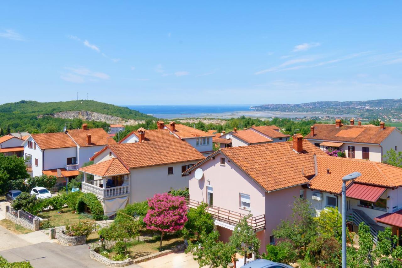 Apartments Belvedere By Rent Istria Plovanija Luaran gambar